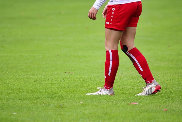 科技赋能体 科技赋能体