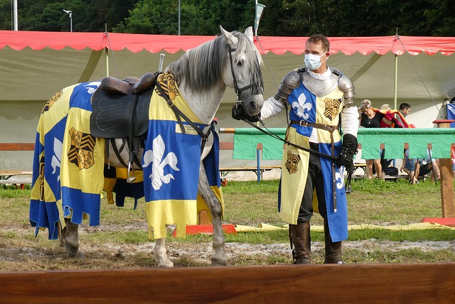 霍伊伦的女 霍伊伦的女