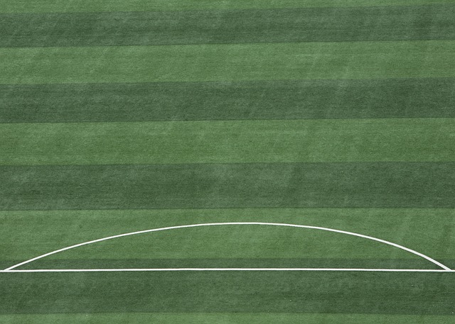 佩接班成为 佩接班成为