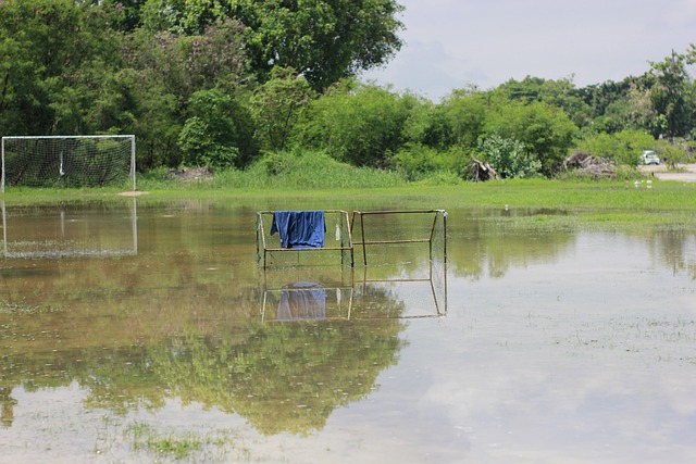 本赛季的N